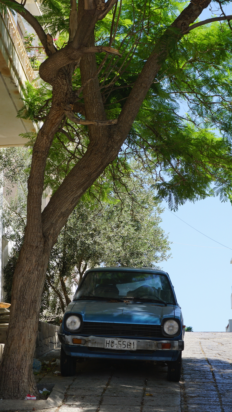 An old car under a tree